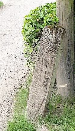 ninnings drive gate post