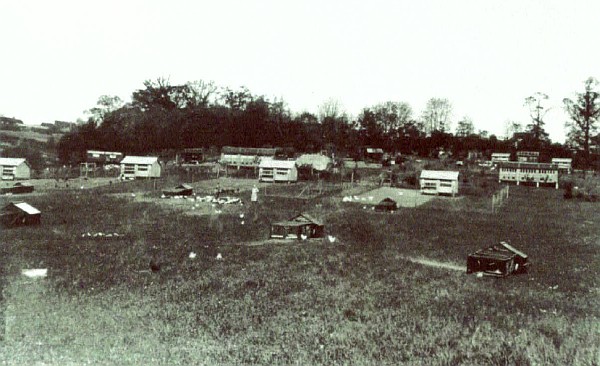 poultry farm 1929